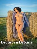 Servicios sexuales Calama en 
